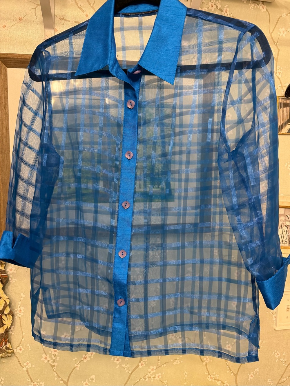 Vintage Sheer Blue Button-Up Shirt